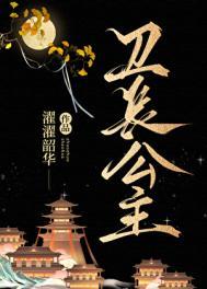 卫长公主同人