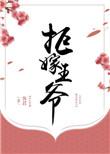 拒嫁天王老公全文阅读