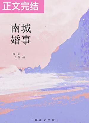 南城婚事免费阅读