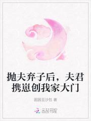 抛夫弃子文推荐免费