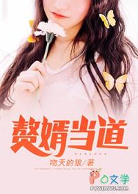 赘婿当道(南桥故人)
