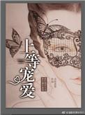 上等宠爱知乎