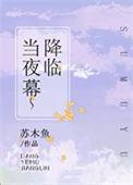 当夜幕降临在我的城市 有另外一种人的生活即将开始