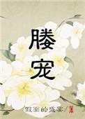 媵宠讲的什么