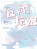反向标记abo讲什么