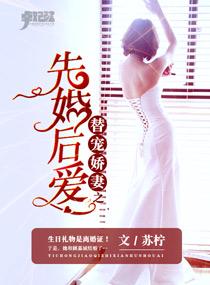 替嫁宠婚娇妻又甜又撩