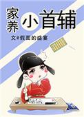 家养小首辅TXT奇书网