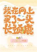长颈鹿购买渠道