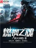 燃钢之魂全本网