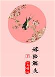 嫁给鳏夫 完结 txt