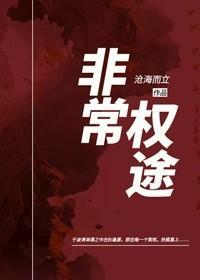 非常权途txt