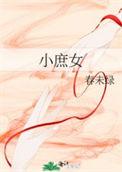 小庶女讲的什么内容