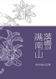 落雪满南山讲的什么