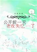 公开前一天老攻失忆了宝书