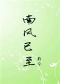 南风已至by蔚空txt盘