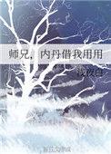 师兄内丹借我用用讲的啥