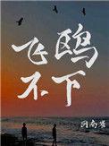 飞鸥不下讲了什么