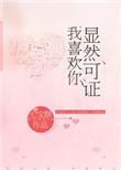 显然可证我喜欢你大概讲什么