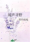 闻声寻野作者目成色