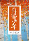 白杨少年 在线阅读