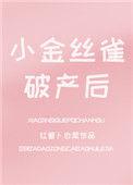 小金丝雀破产以后