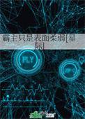 霸主讲的是什么