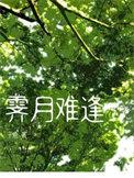 霁月难逢推文