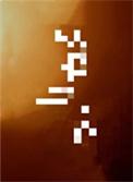 笼中月txt百度