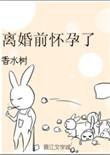 离婚前怀孕了by香水树免费阅读讲了什么