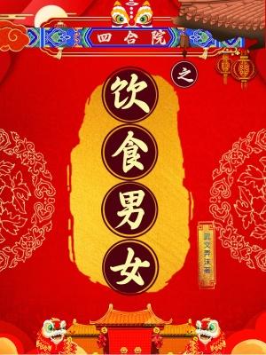 四合院之饮食男女林婷婷结局