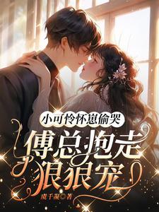 小可怜有人疼全文阅读