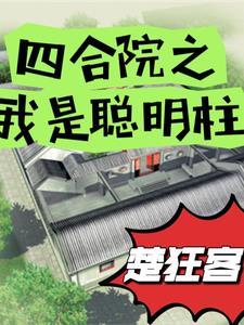 四合院我!傻柱!开局