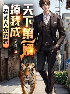 天下第一女婿全文阅读