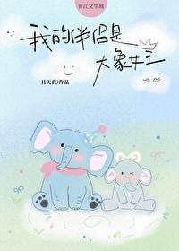 我的大象老婆txt