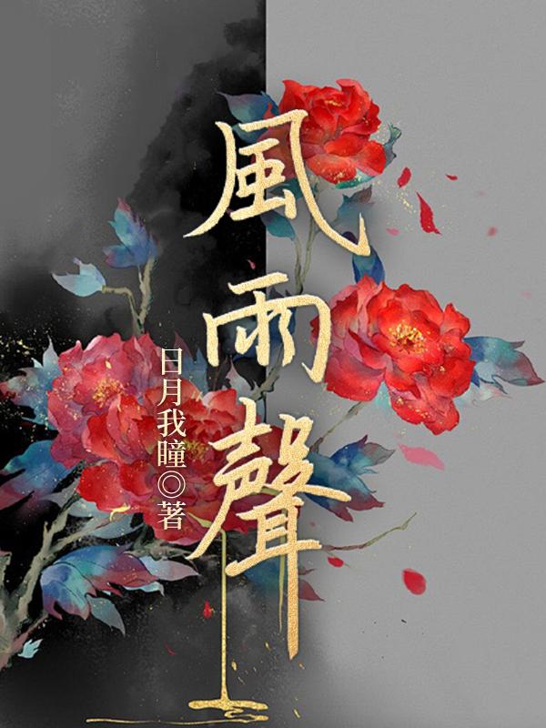 风雨声夜来风雨声