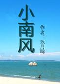 小南风 玖月晞 讲的什么