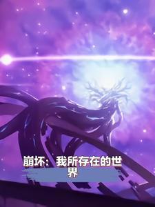 崩坏的世界是什么意思