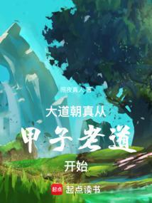 从甲子老道开始境界